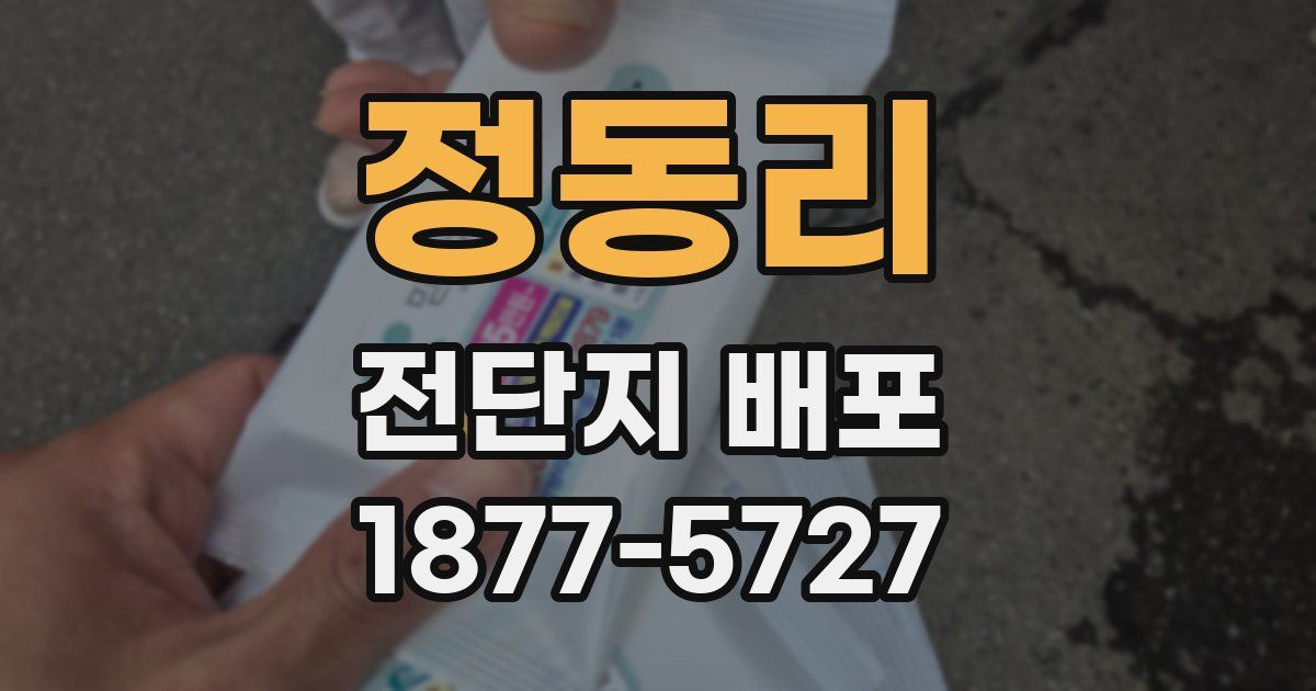 정동리 전단지 배포