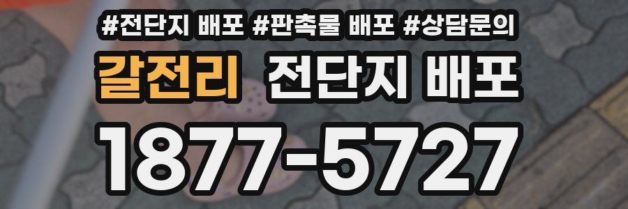 갈전리 전단지 배포