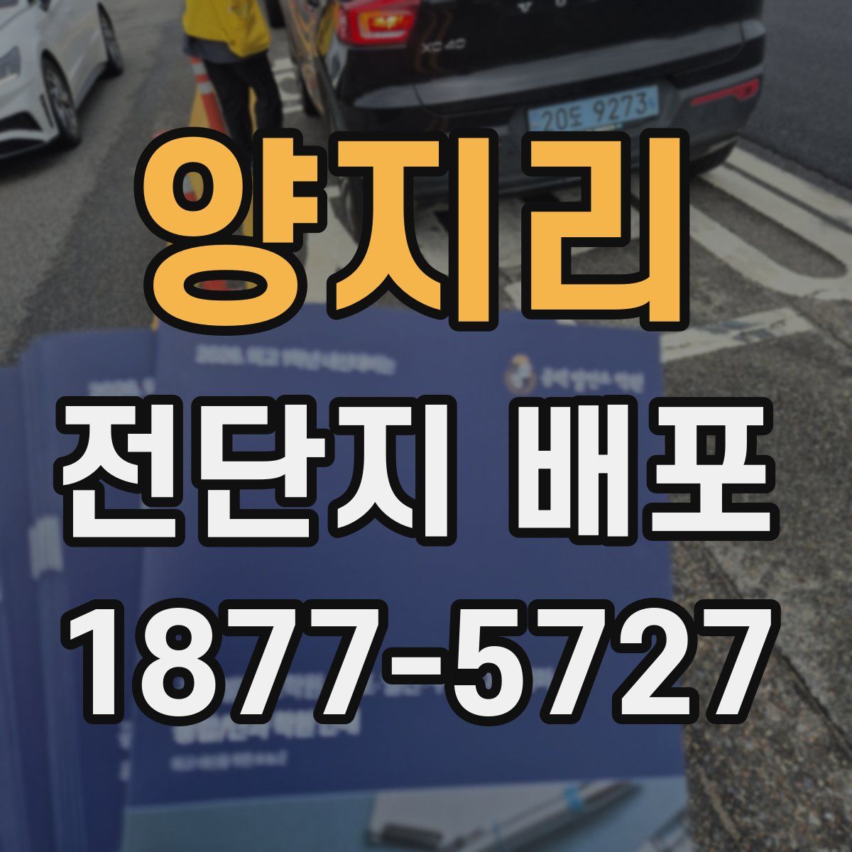 양지리 전단지 배포