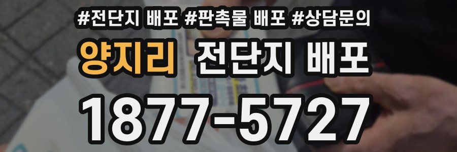 양지리 전단지 배포