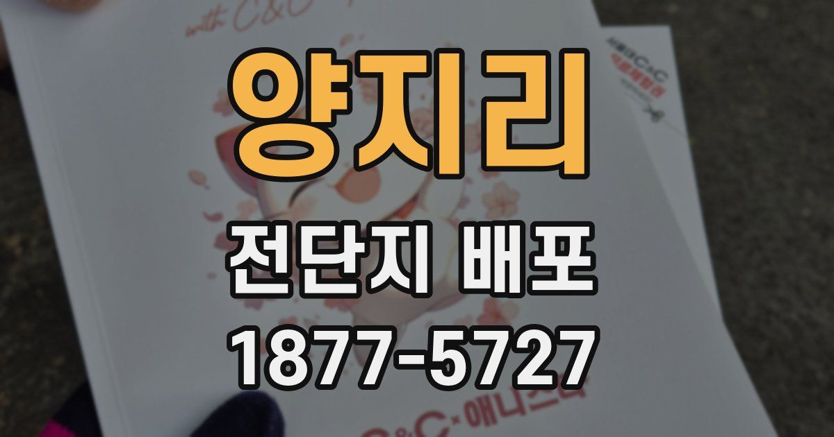 양지리 전단지 배포