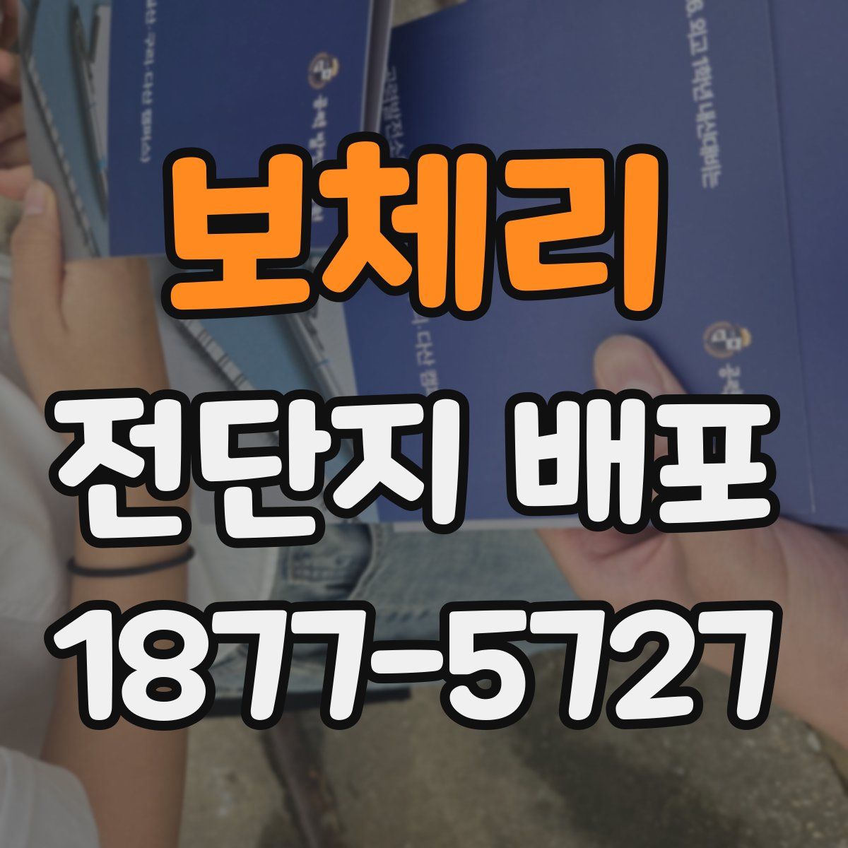 보체리 전단지 배포