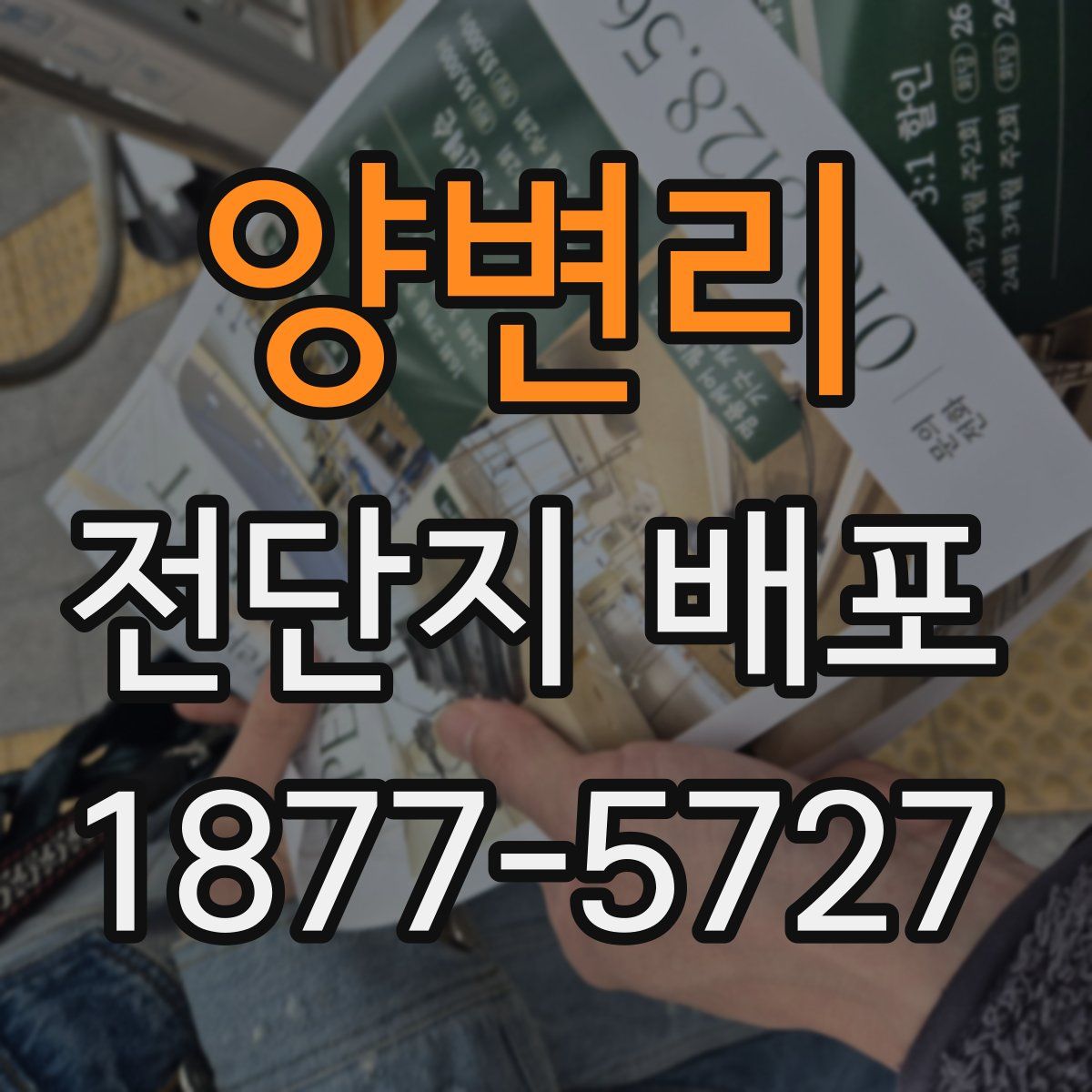 양변리 전단지 배포