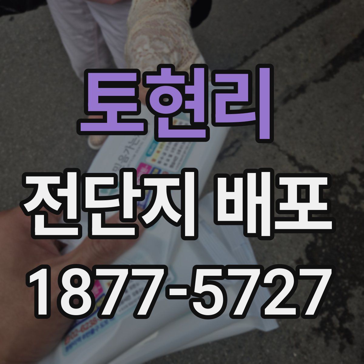 토현리 전단지 배포