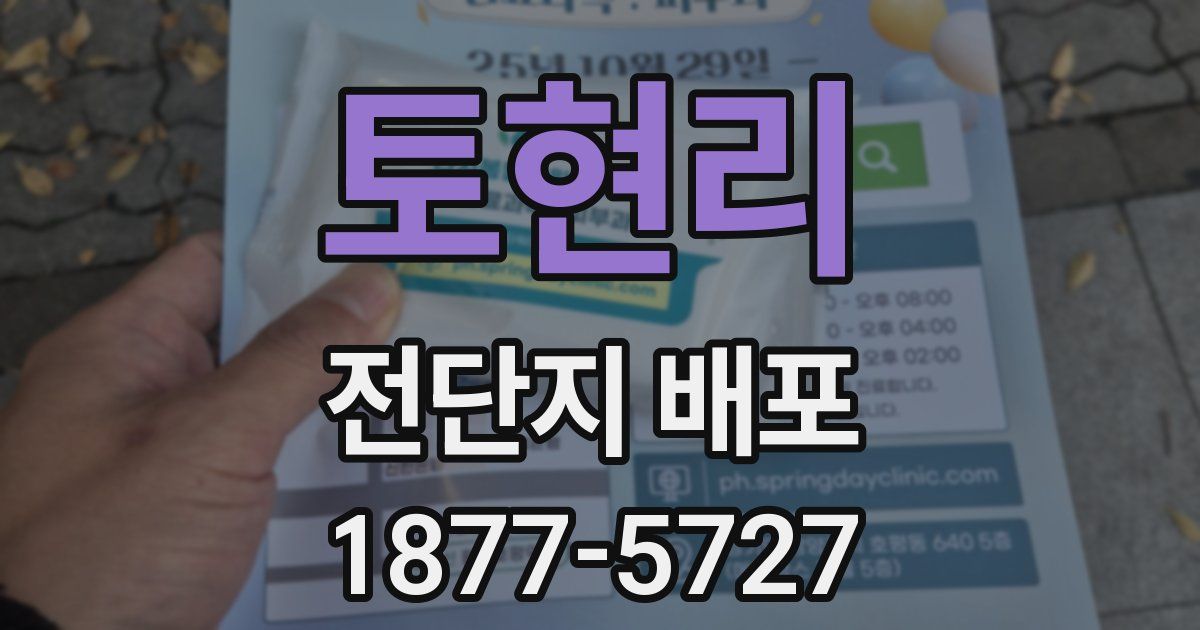 토현리 전단지 배포