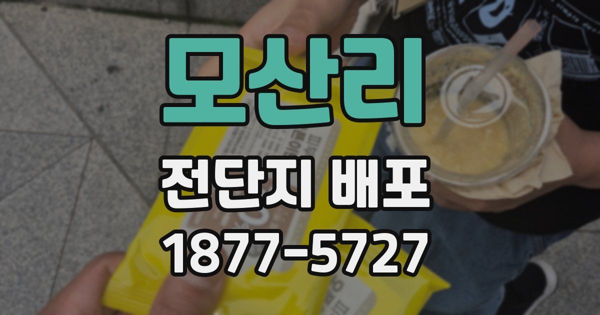 모산리 전단지 배포