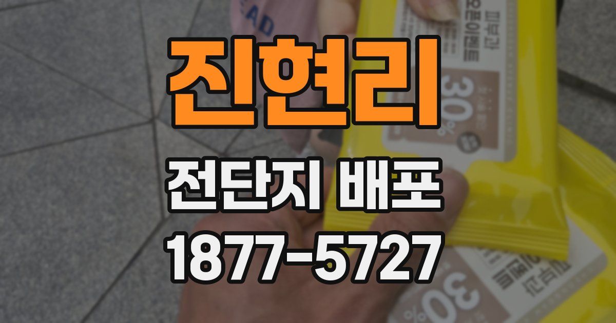 진현리 전단지 배포