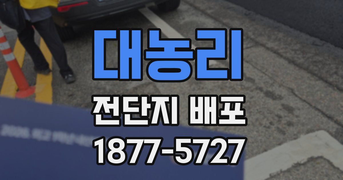 대농리 전단지 배포