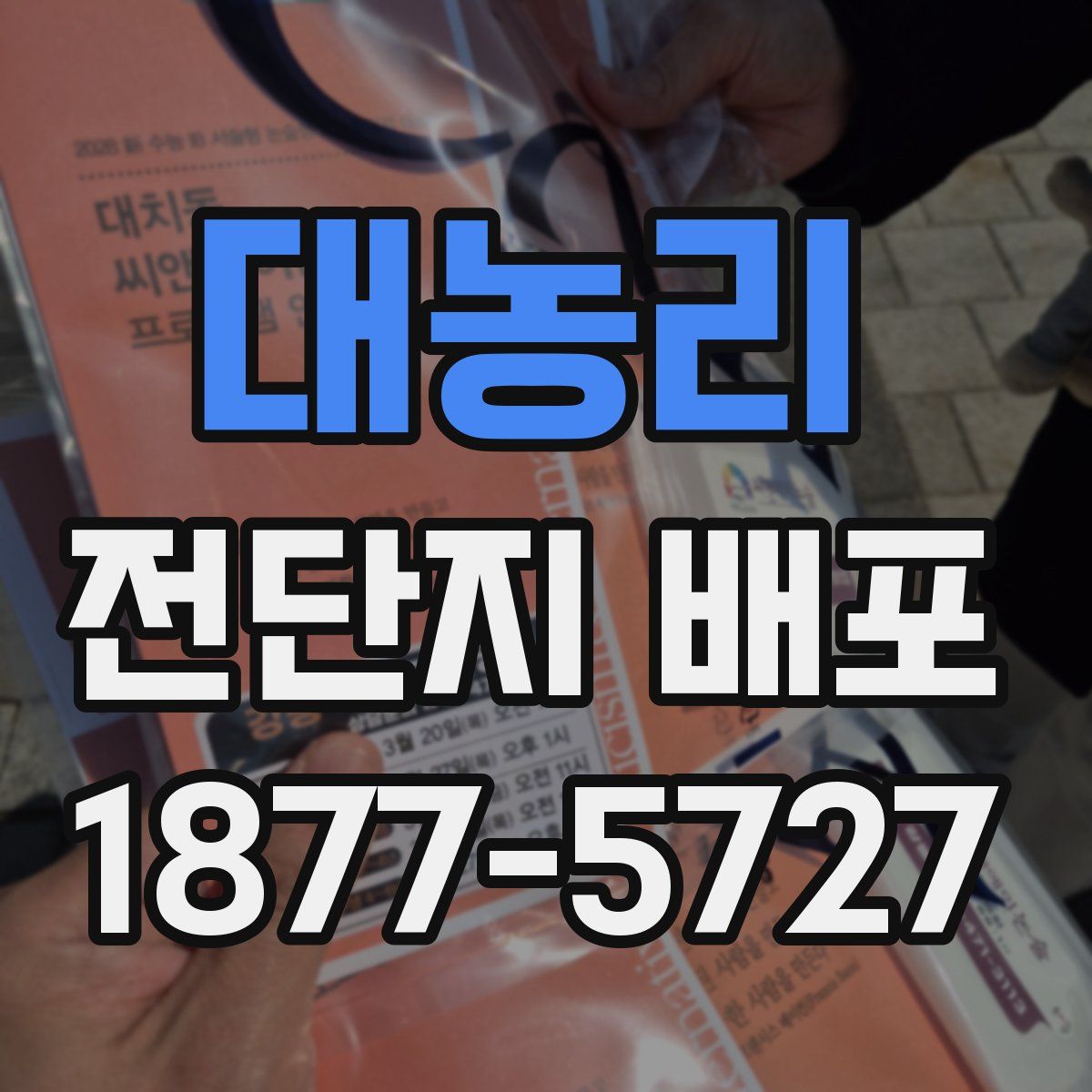 대농리 전단지 배포