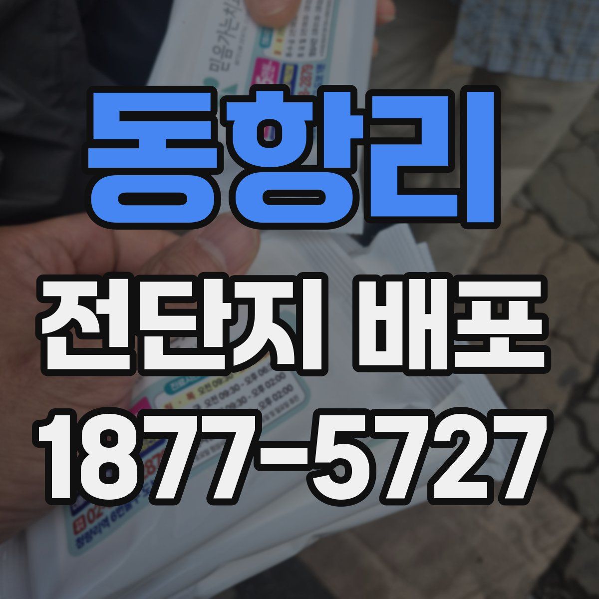 동항리 전단지 배포