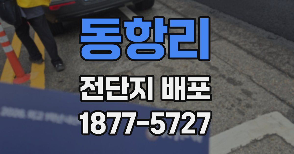 동항리 전단지 배포