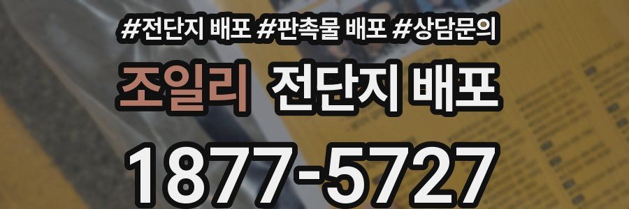 조일리 전단지 배포