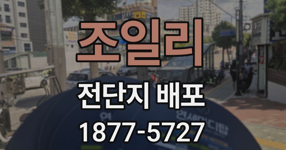 조일리 전단지 배포