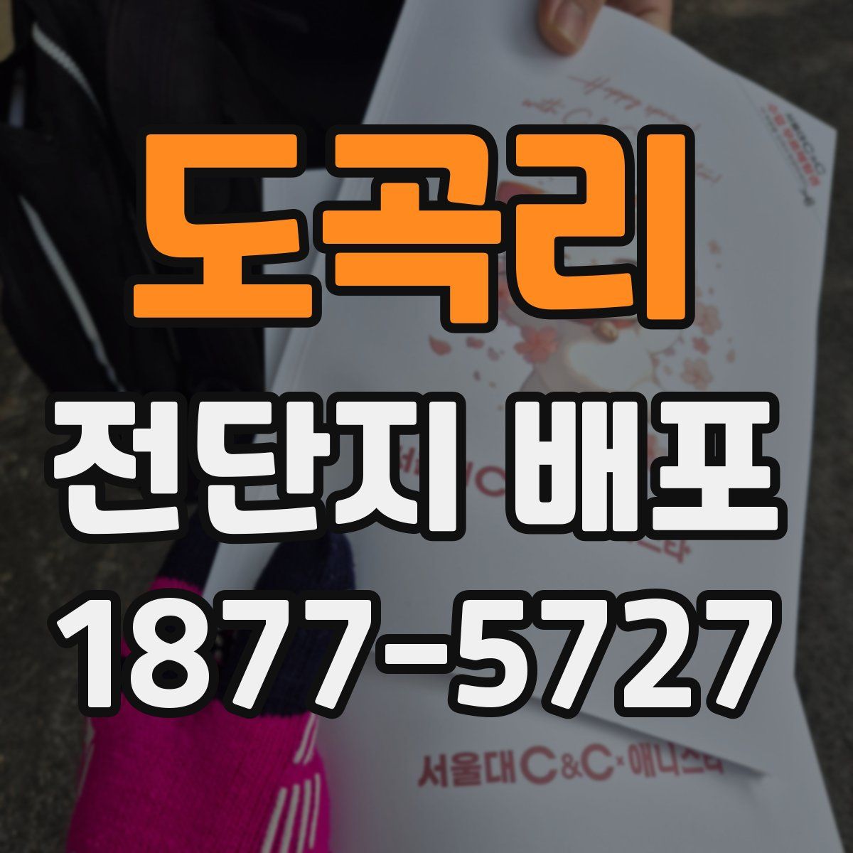 도곡리 전단지 배포