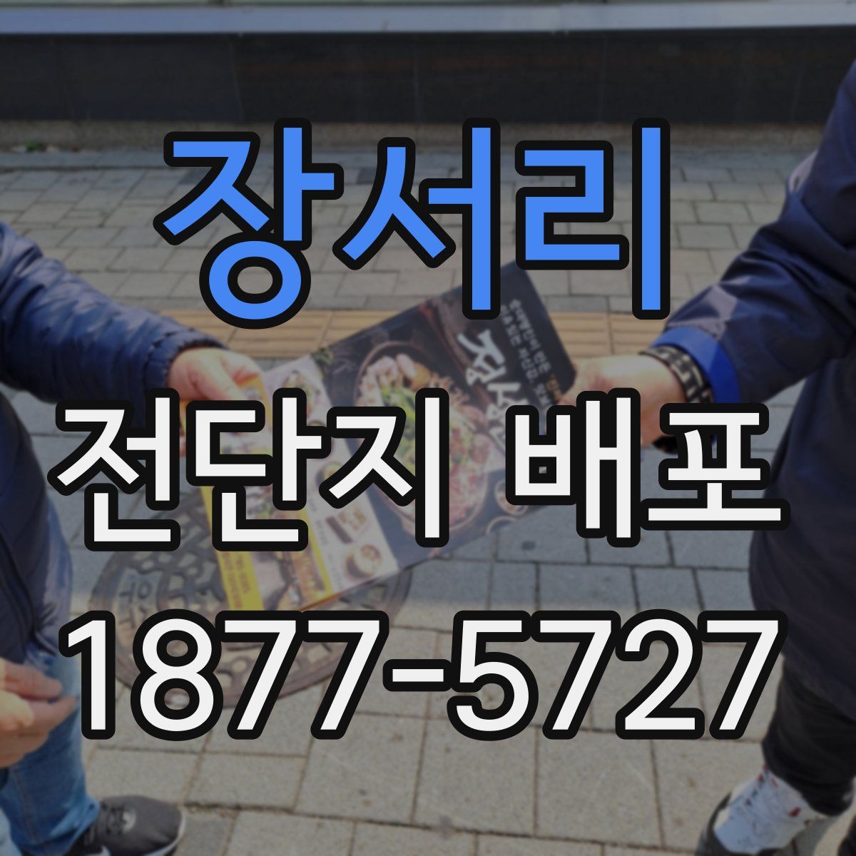 장서리 전단지 배포
