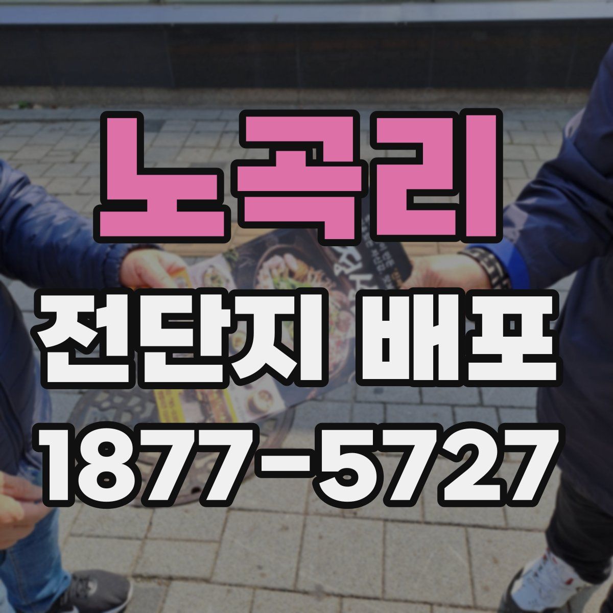노곡리 전단지 배포