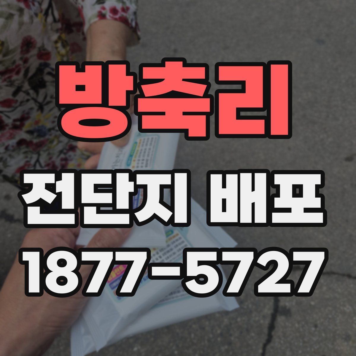 방축리 전단지 배포