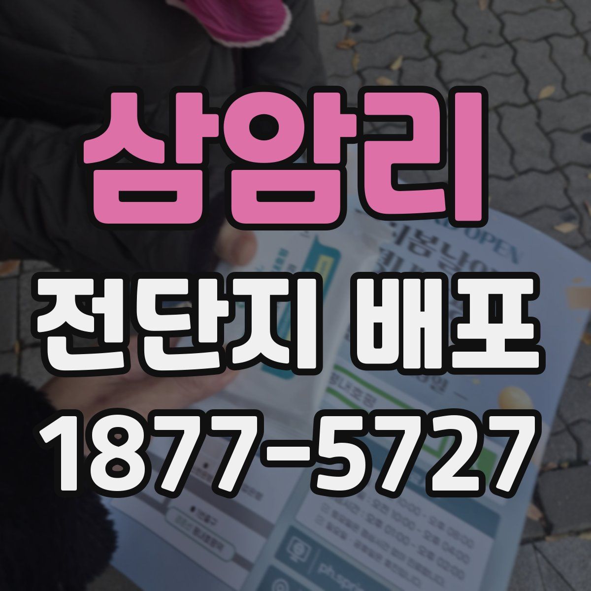 삼암리 전단지 배포