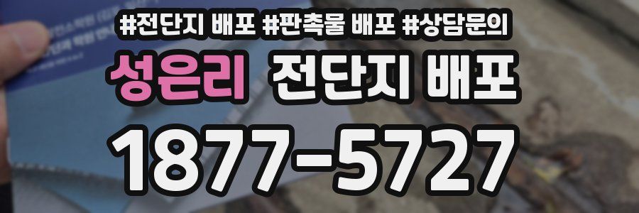 성은리 전단지 배포