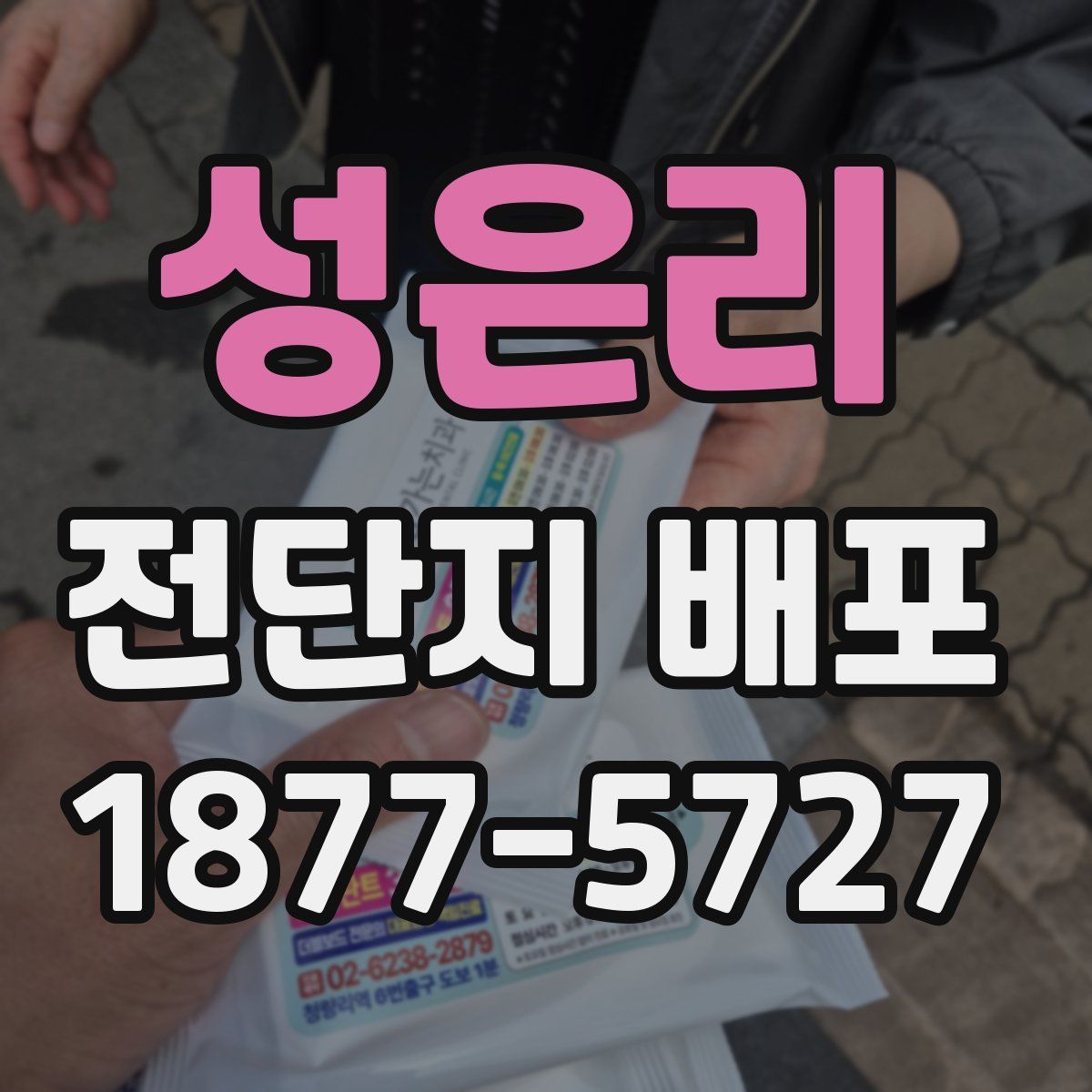 성은리 전단지 배포