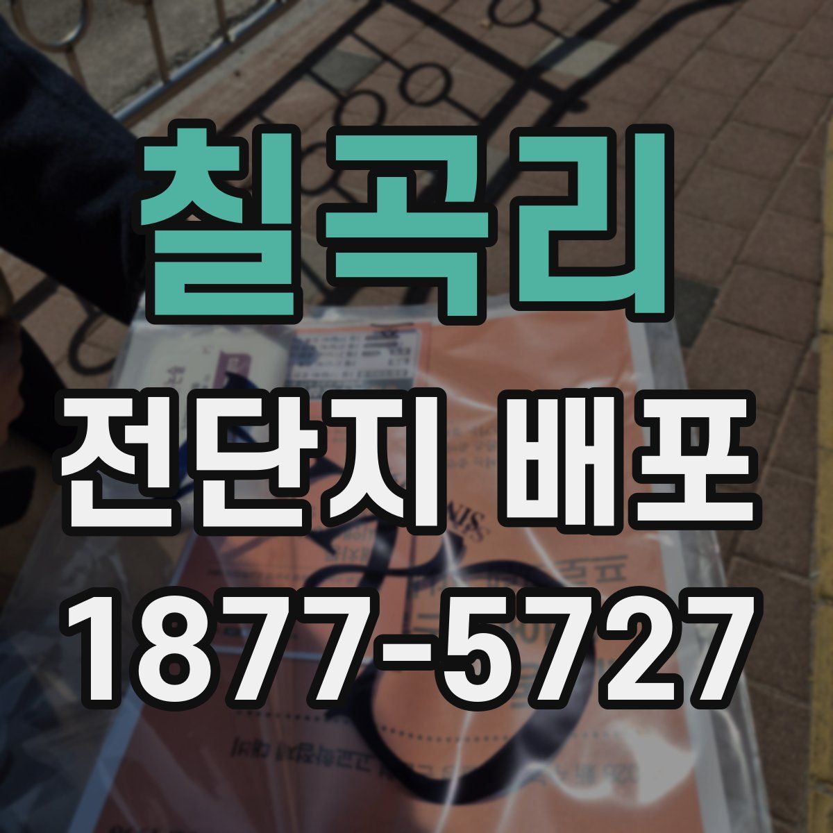 칠곡리 전단지 배포