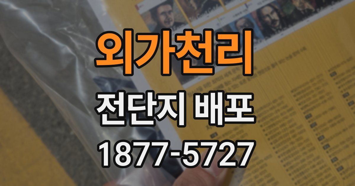외가천리 전단지 배포