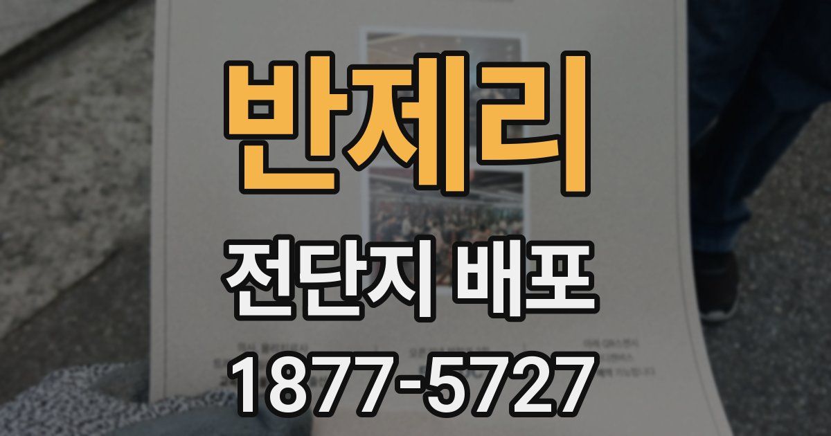 반제리 전단지 배포