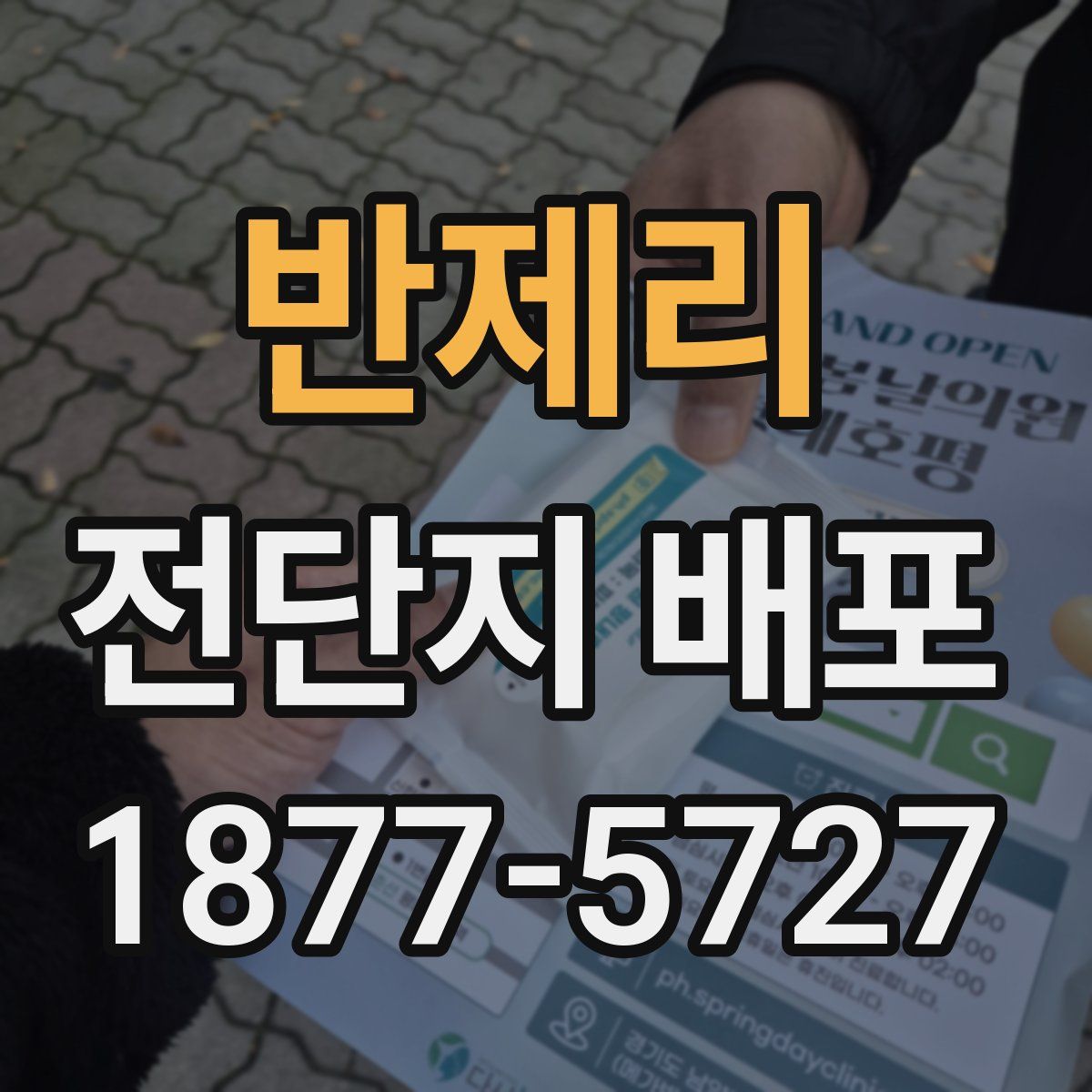 반제리 전단지 배포