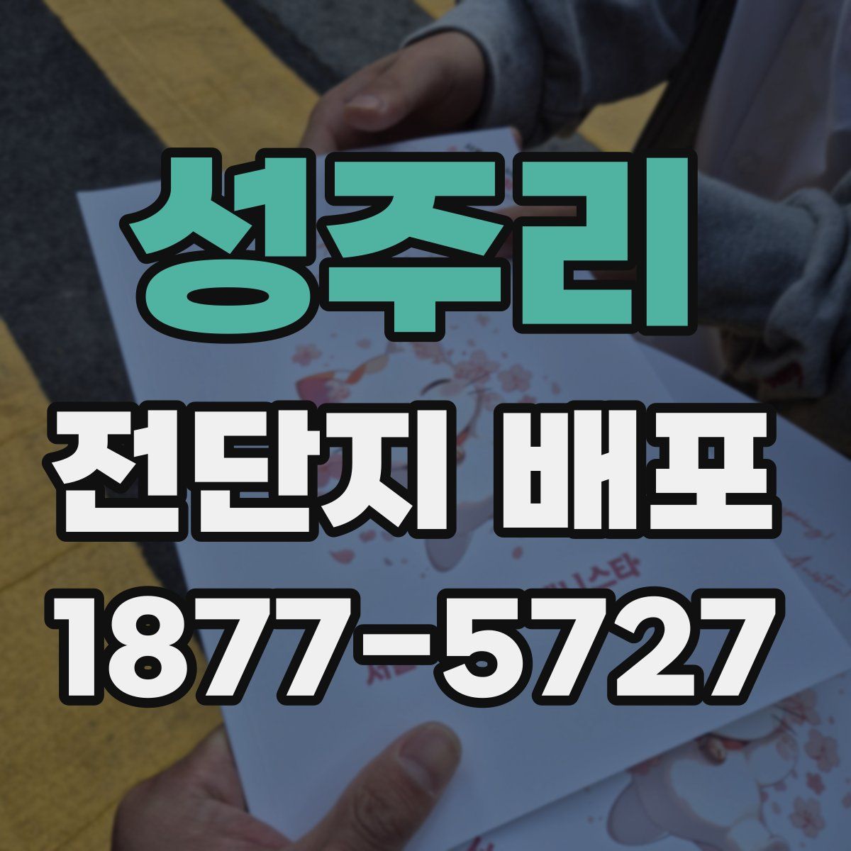 성주리 전단지 배포