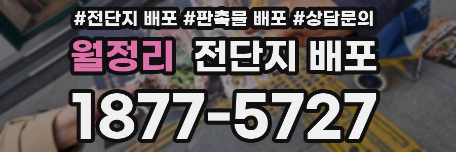 월정리 전단지 배포