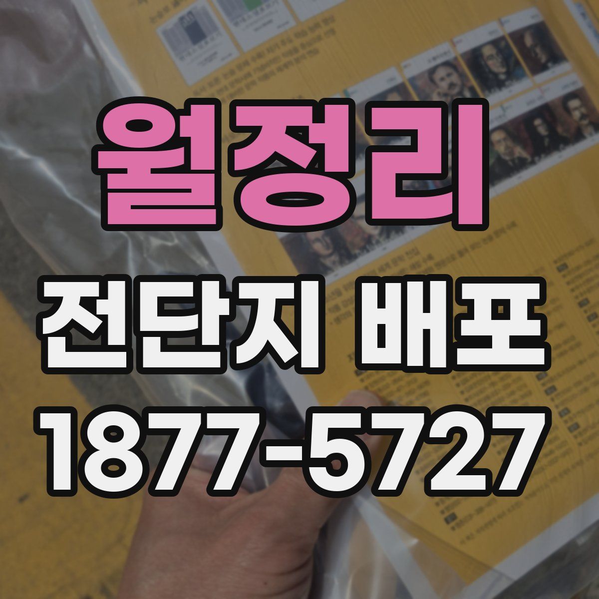 월정리 전단지 배포
