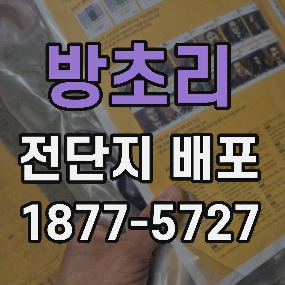 방초리 전단지 배포