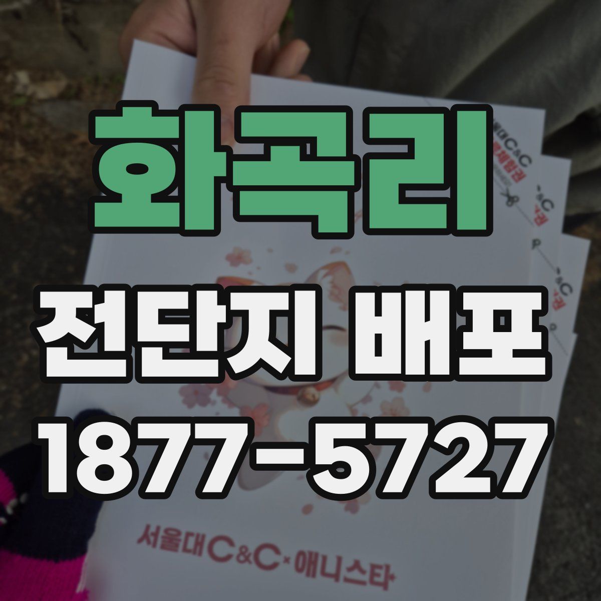 화곡리 전단지 배포