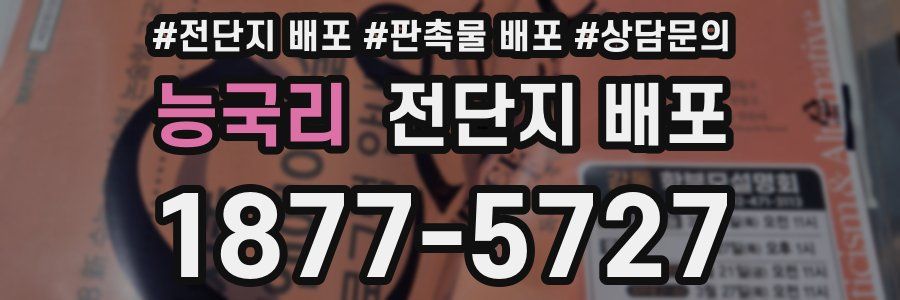 능국리 전단지 배포