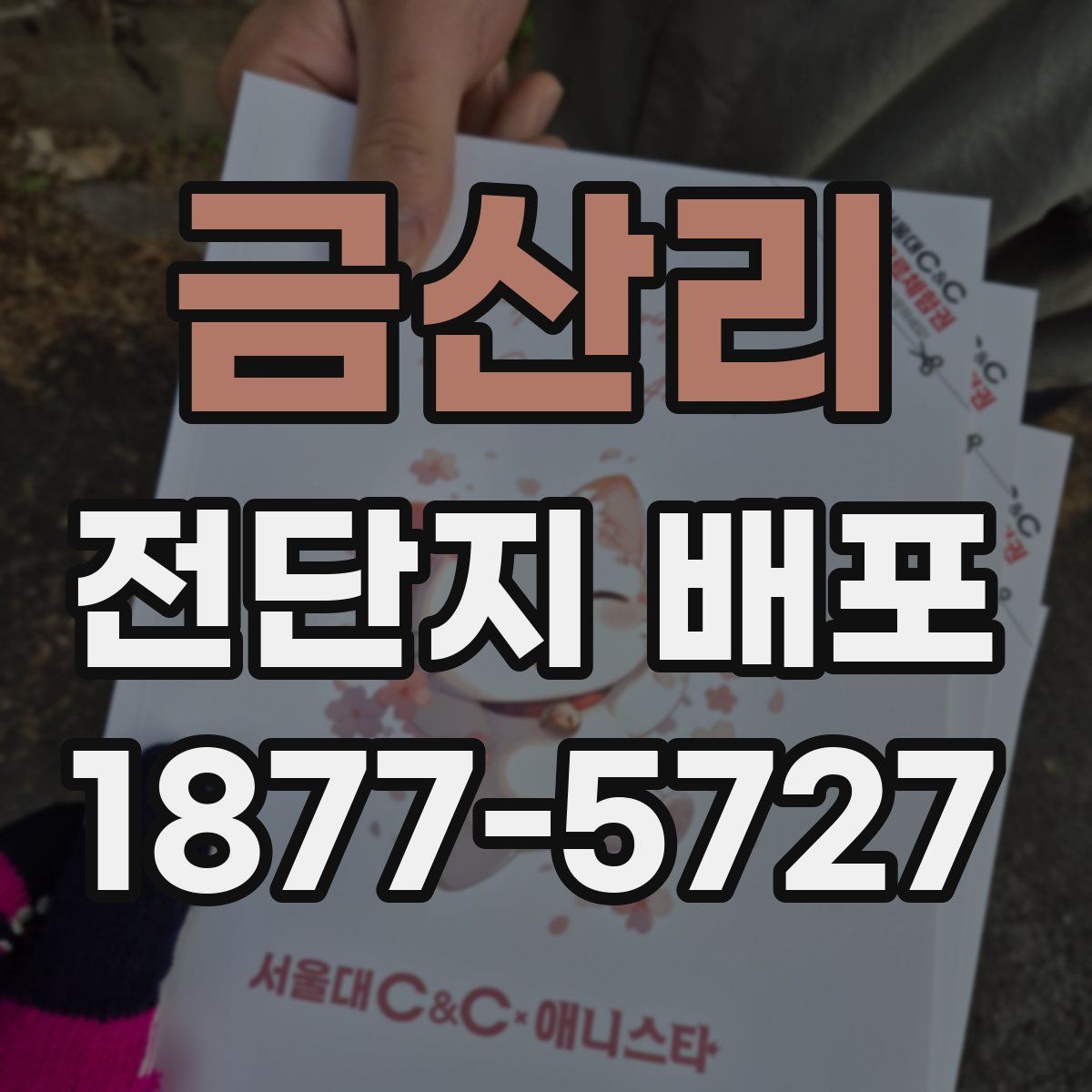 금산리 전단지 배포