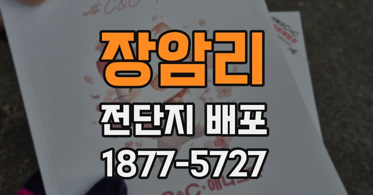 장암리 전단지 배포