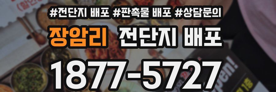 장암리 전단지 배포