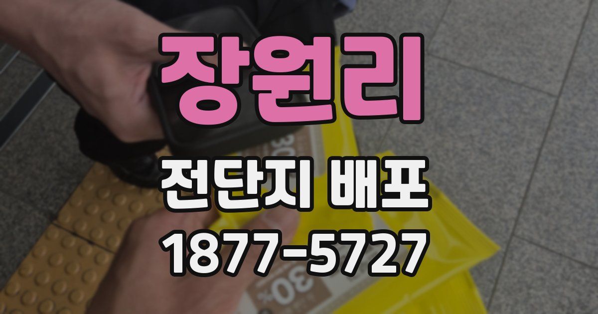 장원리 전단지 배포