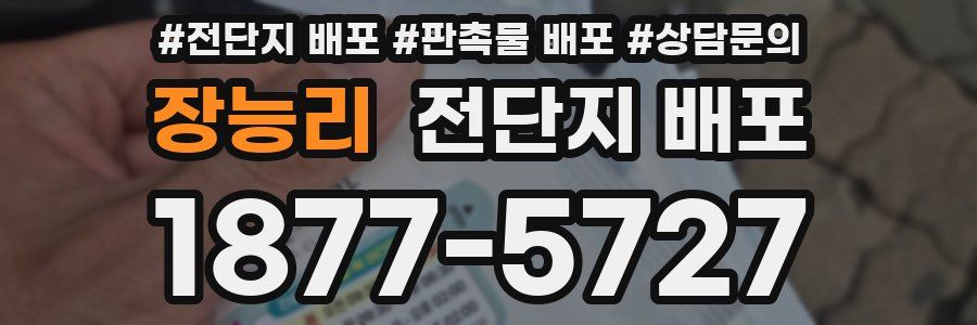 장능리 전단지 배포