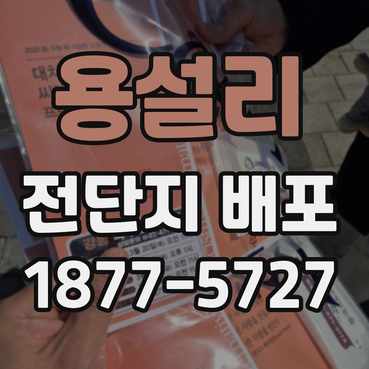 용설리 전단지 배포