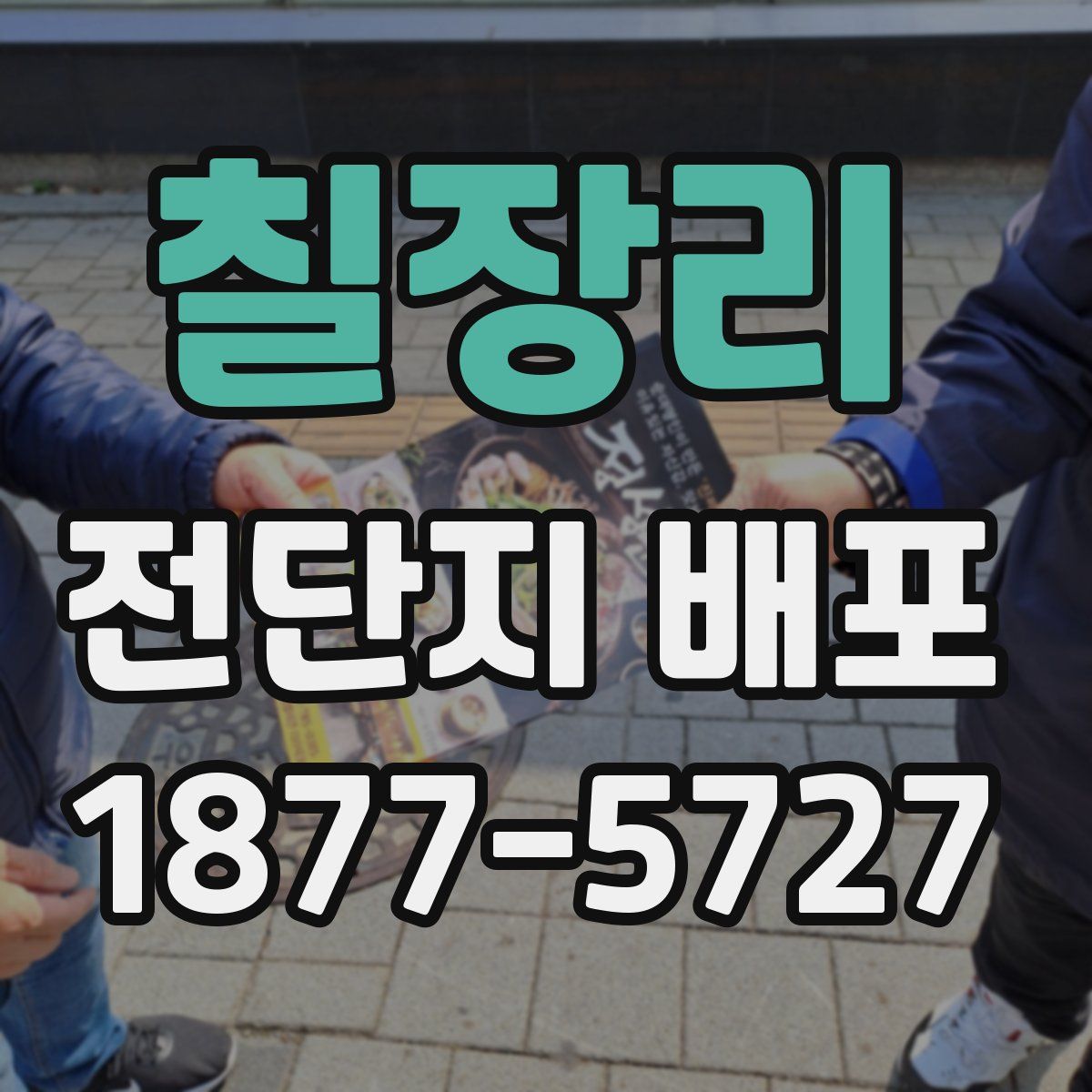 칠장리 전단지 배포