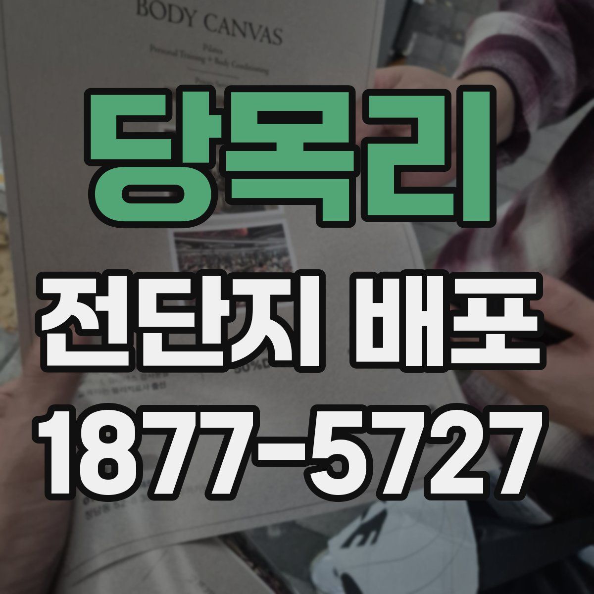 당목리 전단지 배포