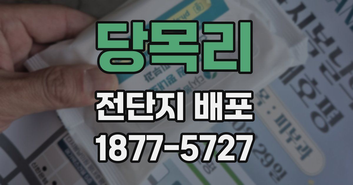 당목리 전단지 배포