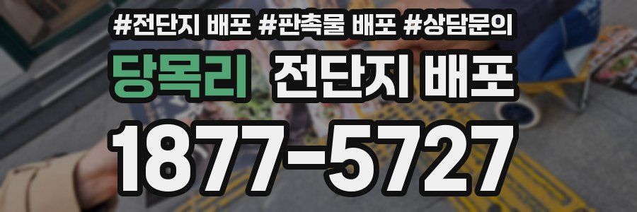 당목리 전단지 배포