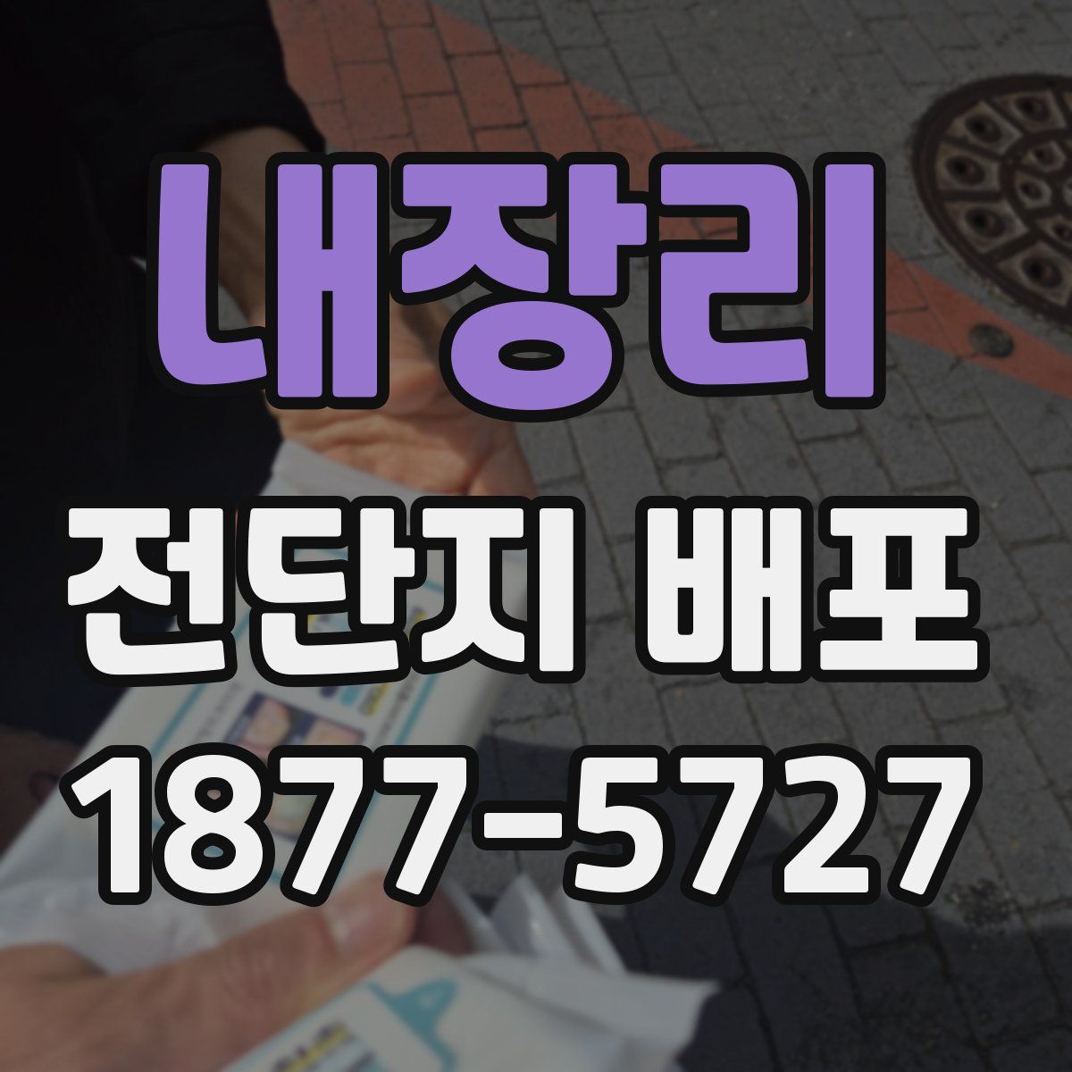 내장리 전단지 배포