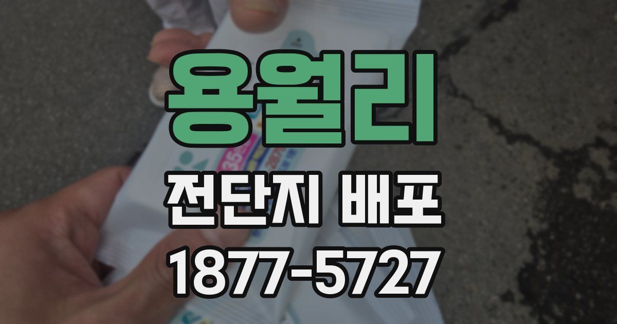 용월리 전단지 배포