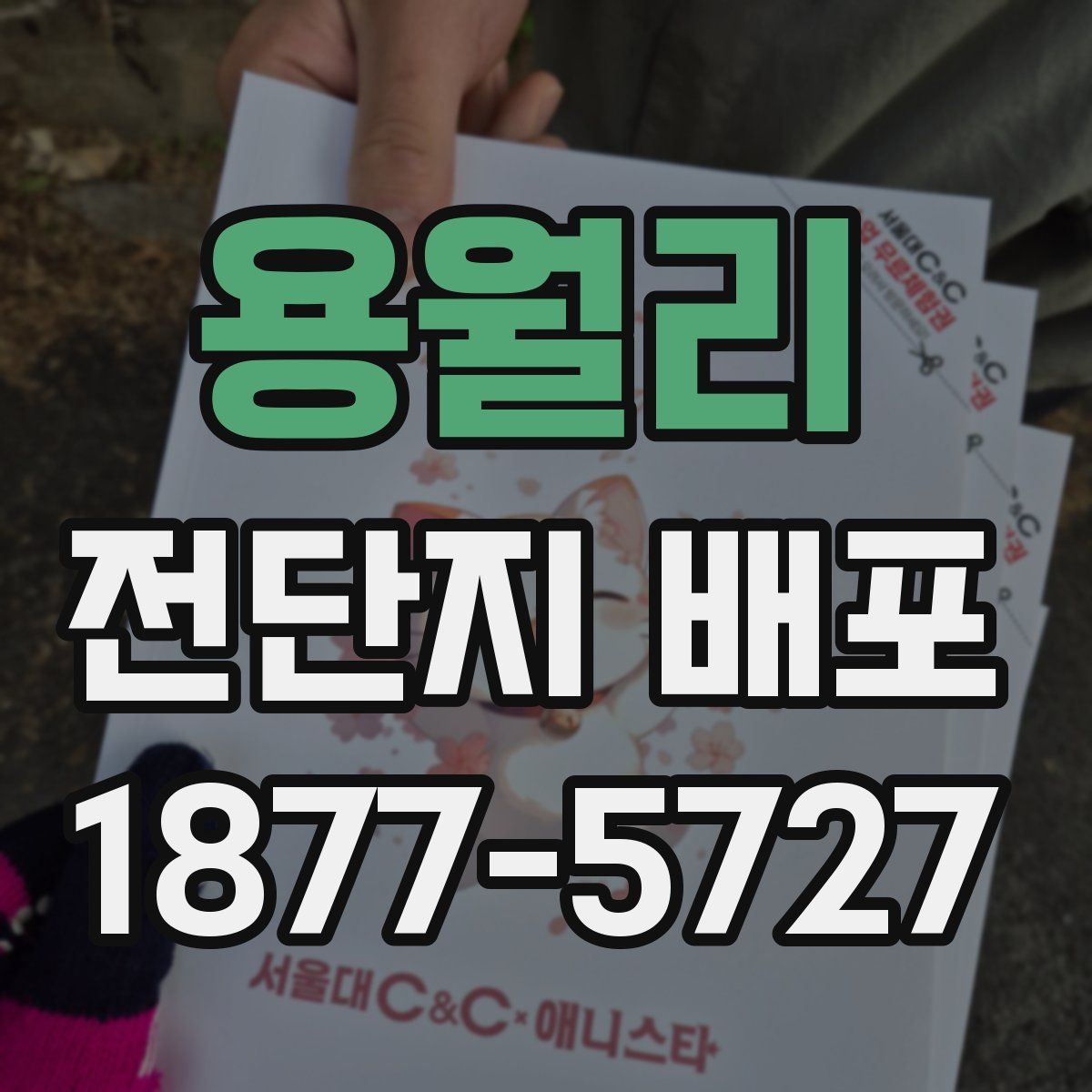 용월리 전단지 배포