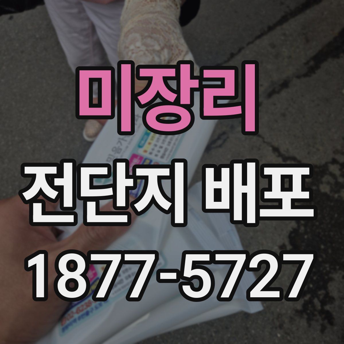 미장리 전단지 배포