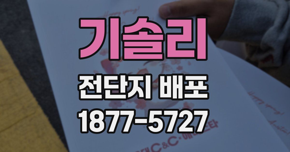 기솔리 전단지 배포