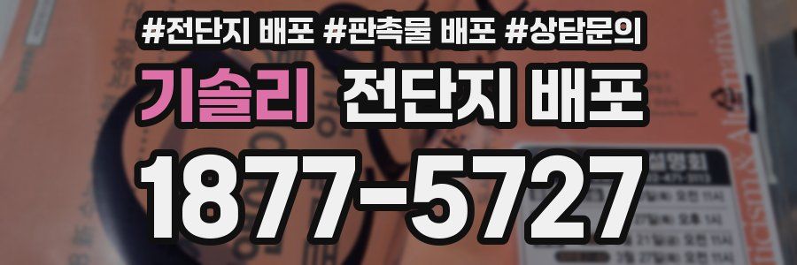 기솔리 전단지 배포